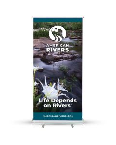 AR Retractable Banner: HShore lilies (33" x 80")