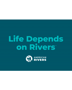AR Sticker: "Life Depends on Rivers" (3" x 3")